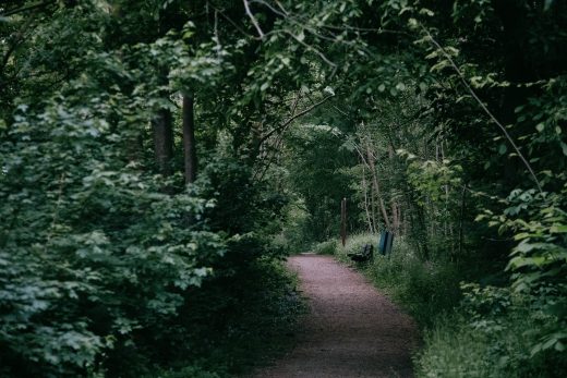 New Parks Add To Ohio’s Best Communal Green Spaces