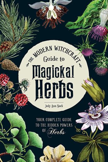 Herbs Commonly Used for Witchcraft, Potions, and Protection