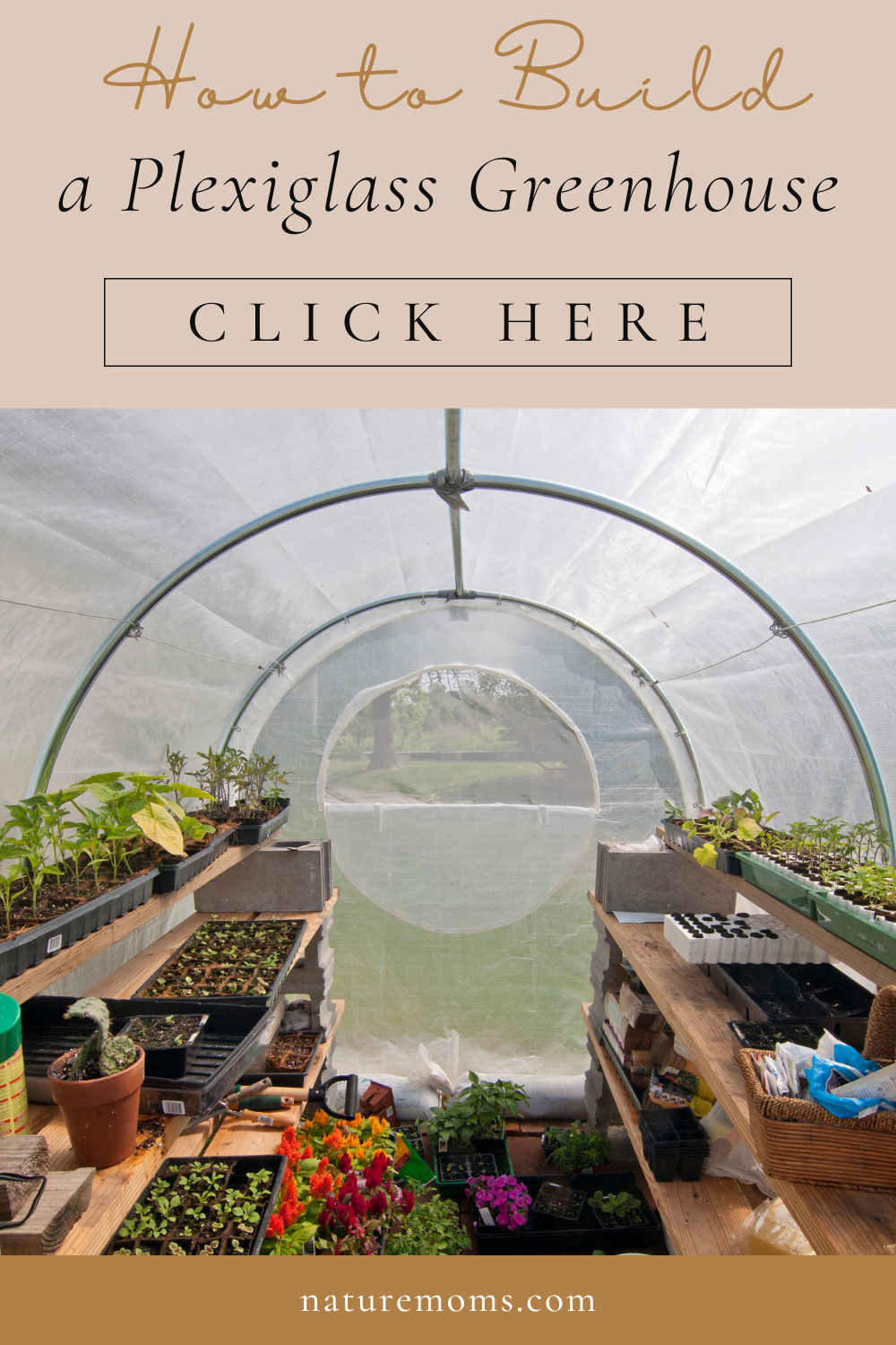 how-to-build-a-plexiglass-greenhouse-your-step-by-step-guide